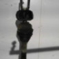 Cardan gauche (transmission) CITROEN C5 1