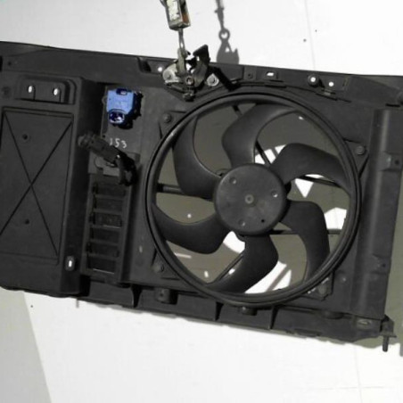 Armature avant, Masque avant CITROEN C4 1 Photo n°1