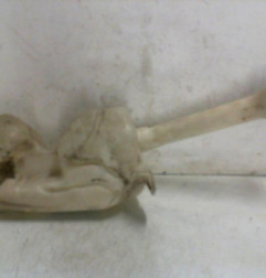 Vase de lave glace CITROEN BERLINGO 1 Photo n°4