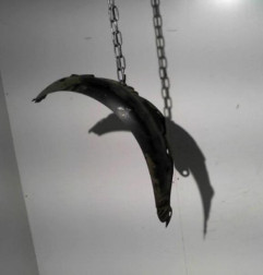 Pare boue avant gauche RENAULT CLIO 2 Photo n°1