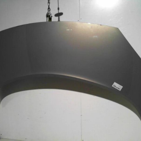 Capot RENAULT SCENIC 2