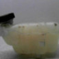 Vase d'expansion OPEL ZAFIRA TOURER C