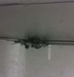 Moteur essuie glace avant OPEL ASTRA J SPORTS