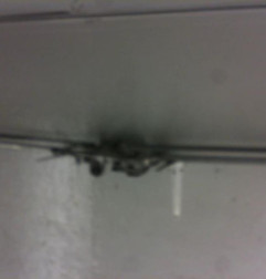 Moteur essuie glace avant OPEL ASTRA J SPORTS Photo n°3