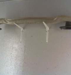 Renfort pare choc arriere (traverse) OPEL MERIVA A