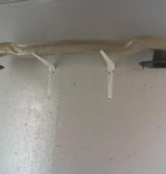 Renfort pare choc arriere (traverse) OPEL MERIVA A Photo n°3