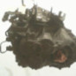 Boite de vitesses TOYOTA COROLLA VERSO 2
