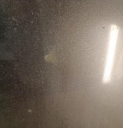 Capot BMW SERIE 1 E87