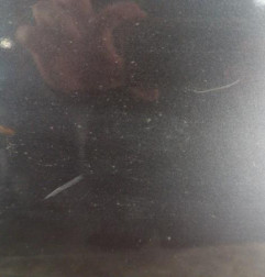 Porte avant droit BMW SERIE 1 E87