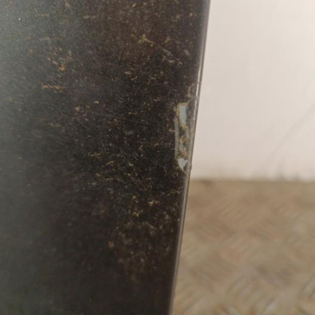 Porte avant gauche BMW SERIE 1 E87