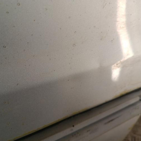 Porte avant gauche PEUGEOT 106