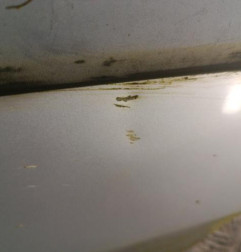 Porte avant gauche PEUGEOT 106 Photo n°3