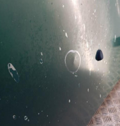 Capot PEUGEOT 206 Photo n°4