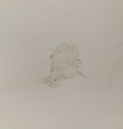 Porte avant droit PEUGEOT 508 1 Photo n°3