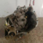 Boite de vitesses RENAULT CLIO 2 CAMPUS