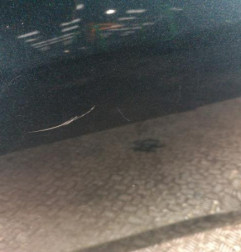 Porte arriere gauche TOYOTA RAV4 3