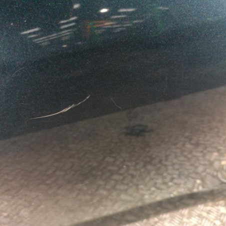 Porte arriere gauche TOYOTA RAV4 3