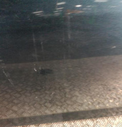 Porte avant gauche TOYOTA RAV4 3 Photo n°3