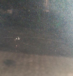 Porte avant gauche TOYOTA RAV4 3 Photo n°5