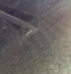 Porte avant droit PEUGEOT 308 2 Photo n°10