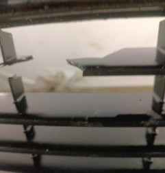 Pare choc avant VOLKSWAGEN GOLF 5 Photo n°8