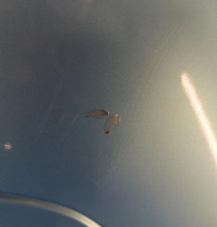 Pare choc arriere CITROEN C3 1 Photo n°3