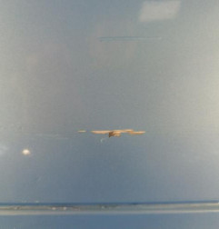 Pare choc arriere CITROEN C3 1 Photo n°4