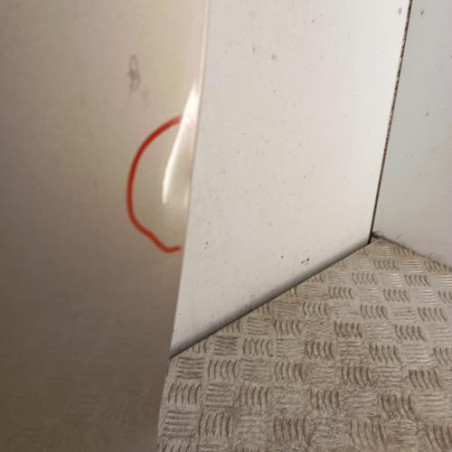 Porte avant gauche CITROEN C5 2