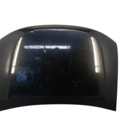 Capot DACIA DUSTER 1 Photo n°1