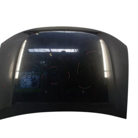 Capot DACIA DUSTER 1 Photo n°1