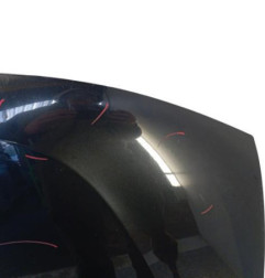 Capot DACIA DUSTER 1