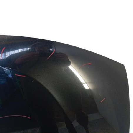 Capot DACIA DUSTER 1