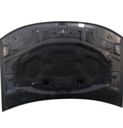 Capot DACIA DUSTER 1 Photo n°7