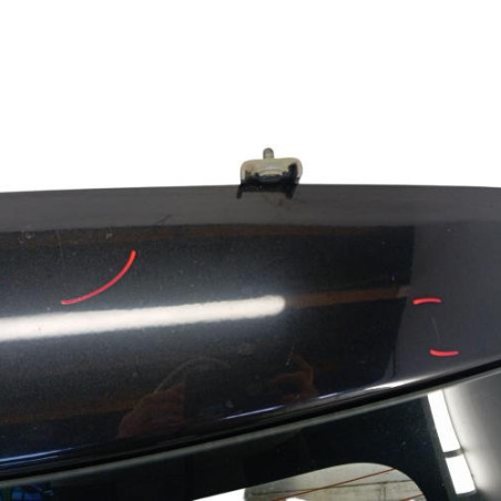 Malle/Hayon arriere DACIA DUSTER 1