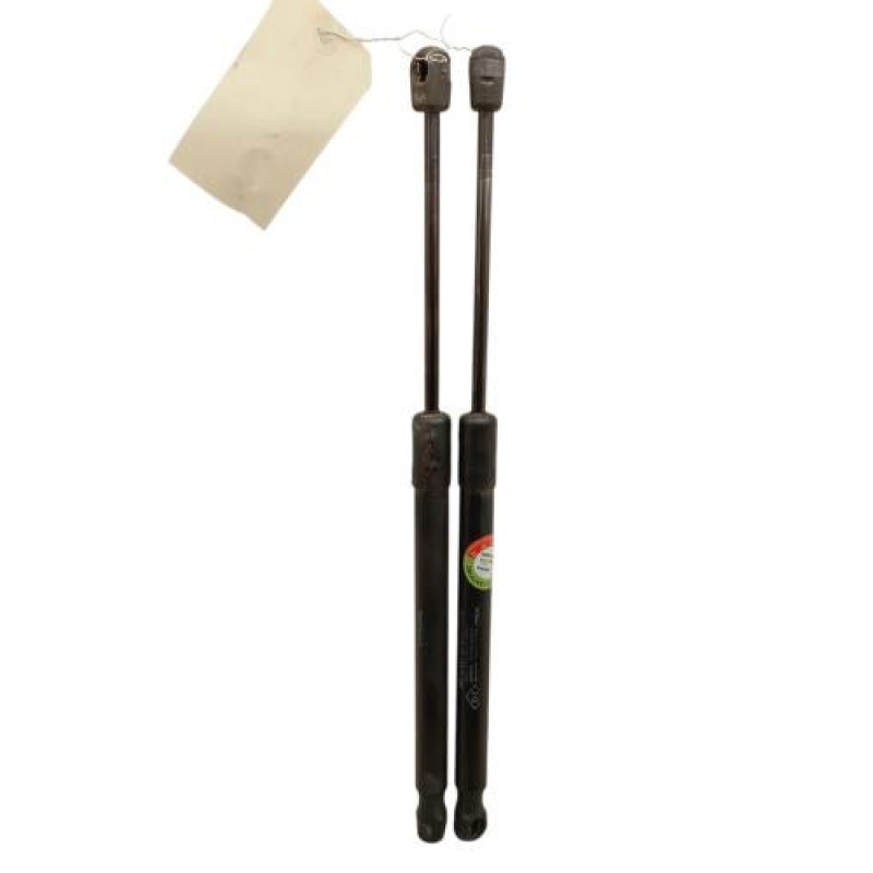 Verin de coffre DACIA DUSTER 1