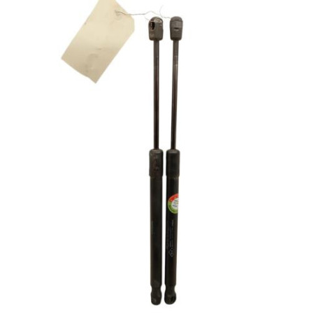 Verin de coffre DACIA DUSTER 1 Photo n°1