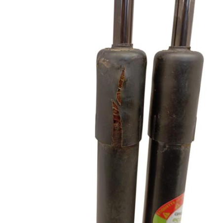 Verin de coffre DACIA DUSTER 1