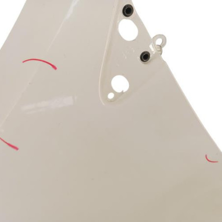 Aile avant gauche RENAULT CLIO 3