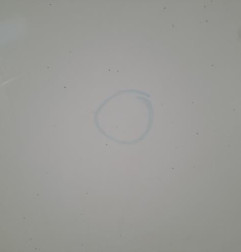 Porte laterale droit CITROEN BERLINGO 2 Photo n°3