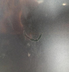 Capot FORD FIESTA 6 Photo n°3