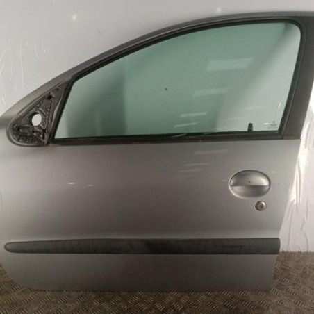 Porte avant gauche PEUGEOT 206 Photo n°1