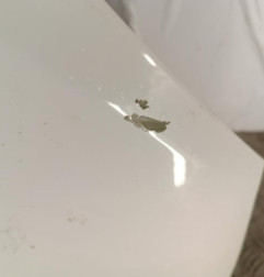 Capot HYUNDAI IX 20 Photo n°3