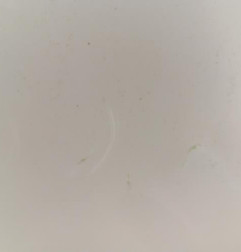 Porte arriere gauche HYUNDAI IX 20 Photo n°3