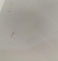 Aile avant droit RENAULT CLIO 2