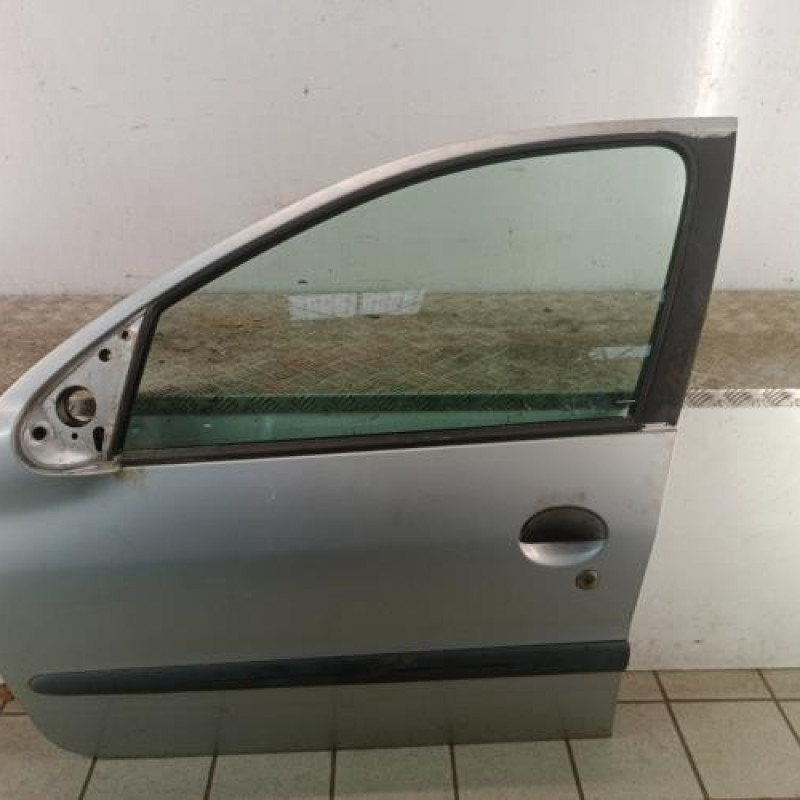 Porte avant gauche PEUGEOT 206