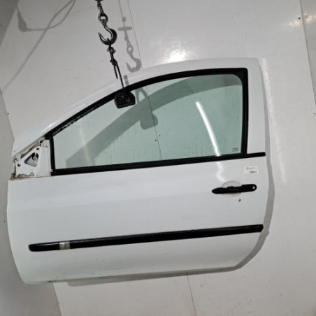 Porte avant gauche RENAULT CLIO 3 Photo n°1