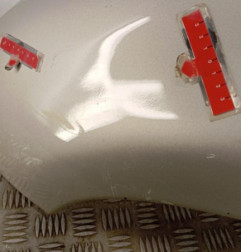 Aile avant gauche PEUGEOT 206 Photo n°3