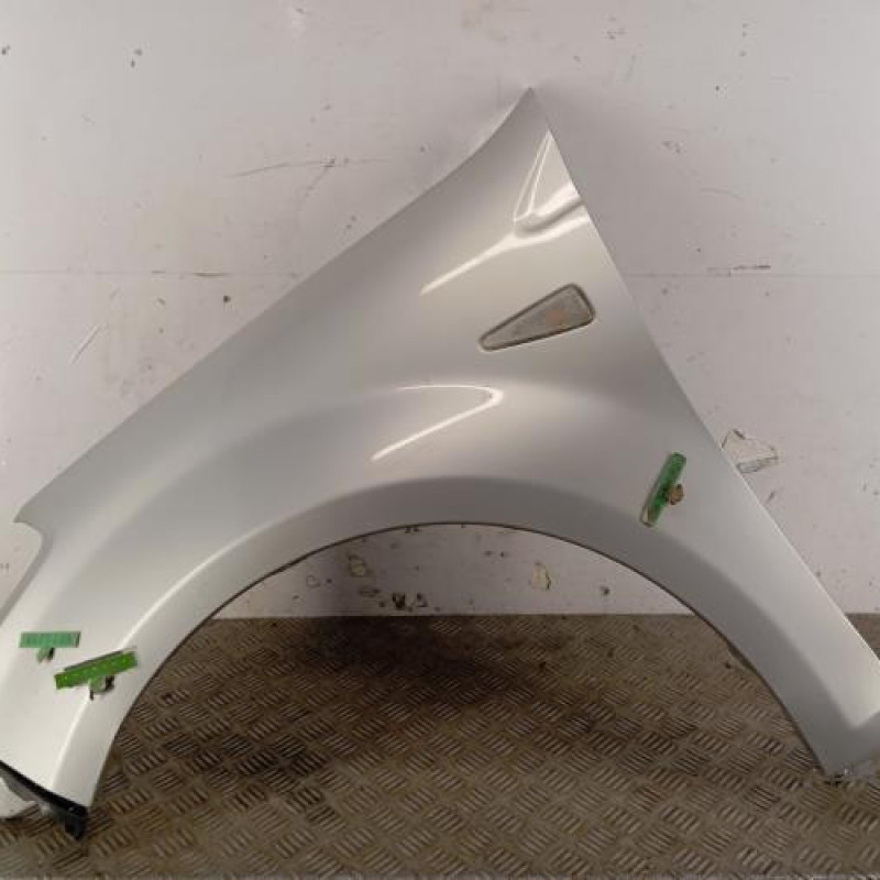 Aile avant gauche DACIA SANDERO 1