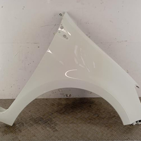 Aile avant droit RENAULT CLIO 3 Photo n°1