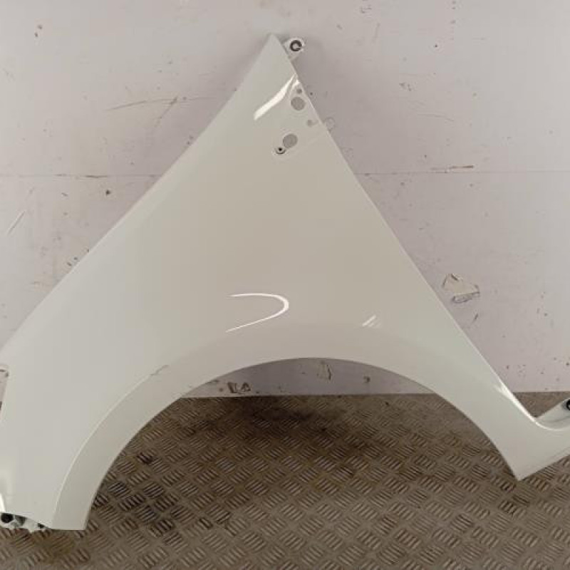 Aile avant gauche RENAULT CLIO 3